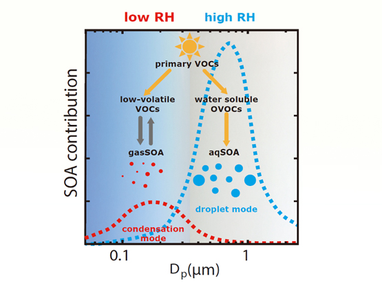 我院徐婉筠副研究员等人在二次有机气溶胶生成机制研究方面取得新进展
